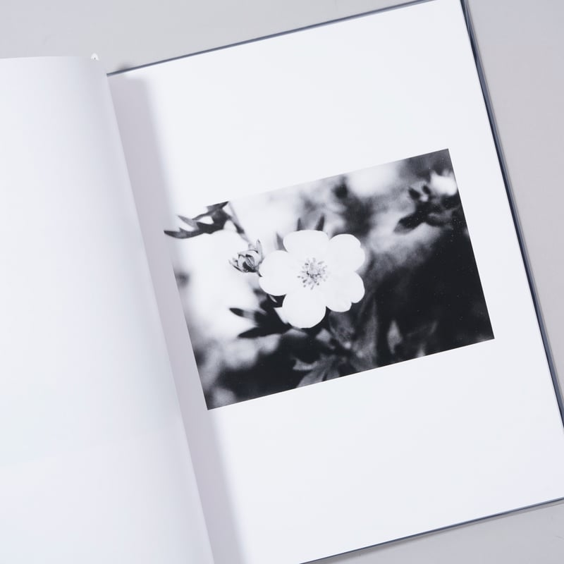 新刊サイン入/New,Signed]ENKOPING / Anders Edstrom(アン