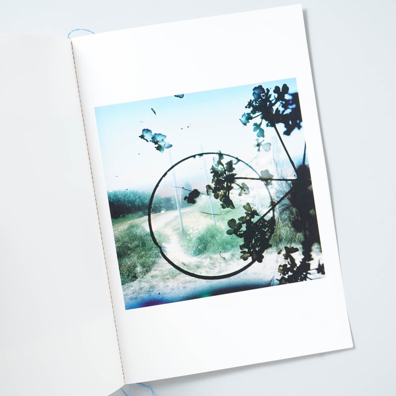 OUTSIDE IN special charity book / Stephen Gill(...
