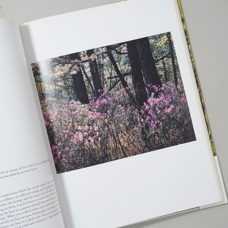 In Wildness Is the Preservation / Eliot Porter(