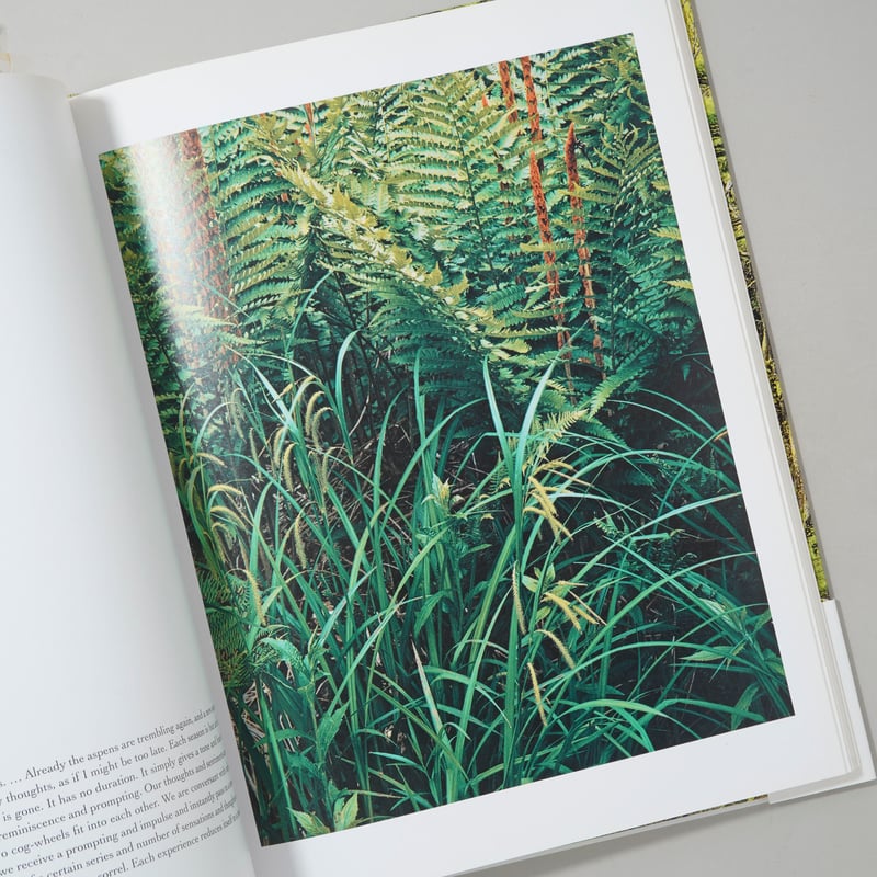 In Wildness Is the Preservation / Eliot Porter(