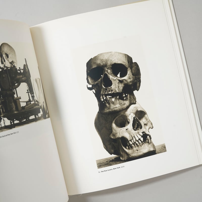 Platinum Prints / Irving Penn(アーヴィング・ペン) | book