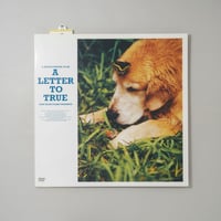 A LETTER TO TRUE JUST BLUE FILMS / Bruce Weber(ブルース・ウェーバー)