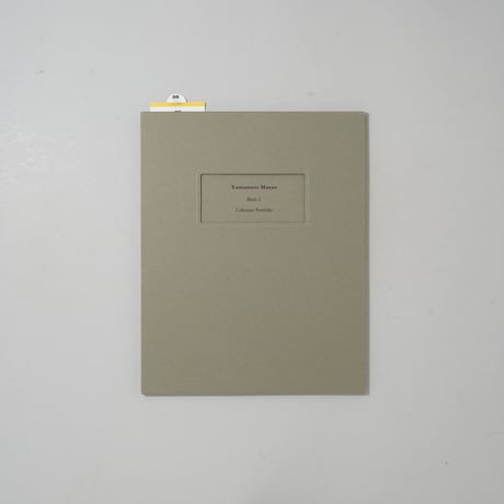 コロタイプポートフォリオ 山本昌男 Bird 2 / 山本昌男(Masao Yamamoto)