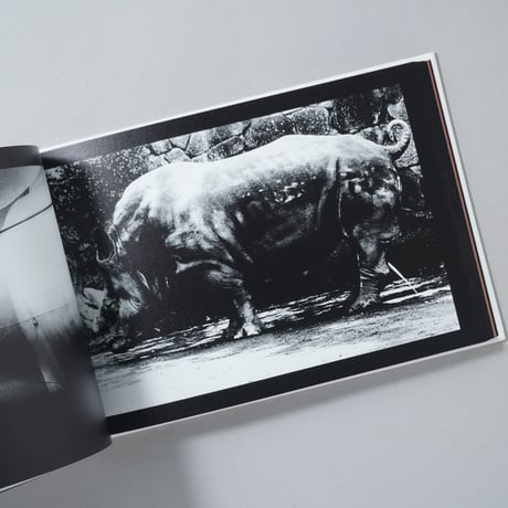 [サイン入/Signed] DAIDO SLIDE MXM / 森山大道(Daido Moriyama)