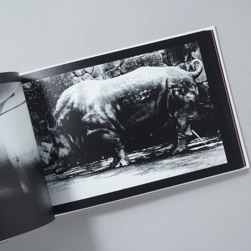(サイン入) Daido Slide Daido Moriyama jK1aHVQd_E4HCFI.jpeg