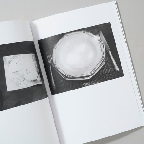 [新刊/New] LOCAL ECOLOGY. MOULIN DES RIBES / Jochen Lempert (ヨヘン・レンペルト)