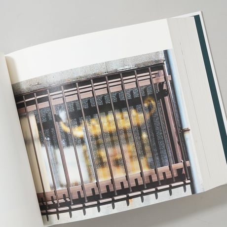 [サイン入/Signed] 特別限定版 windows / 奥山由之(Yoshiyuki Okuyama)