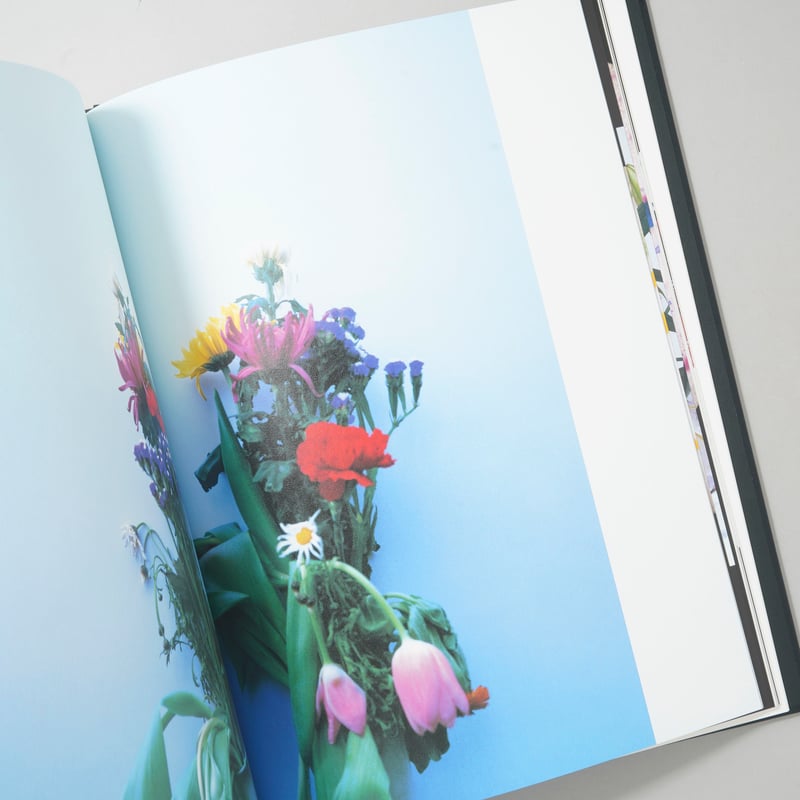 花人生 特別装丁版 / 荒木経惟(Nobuyoshi Araki) | bookobscura