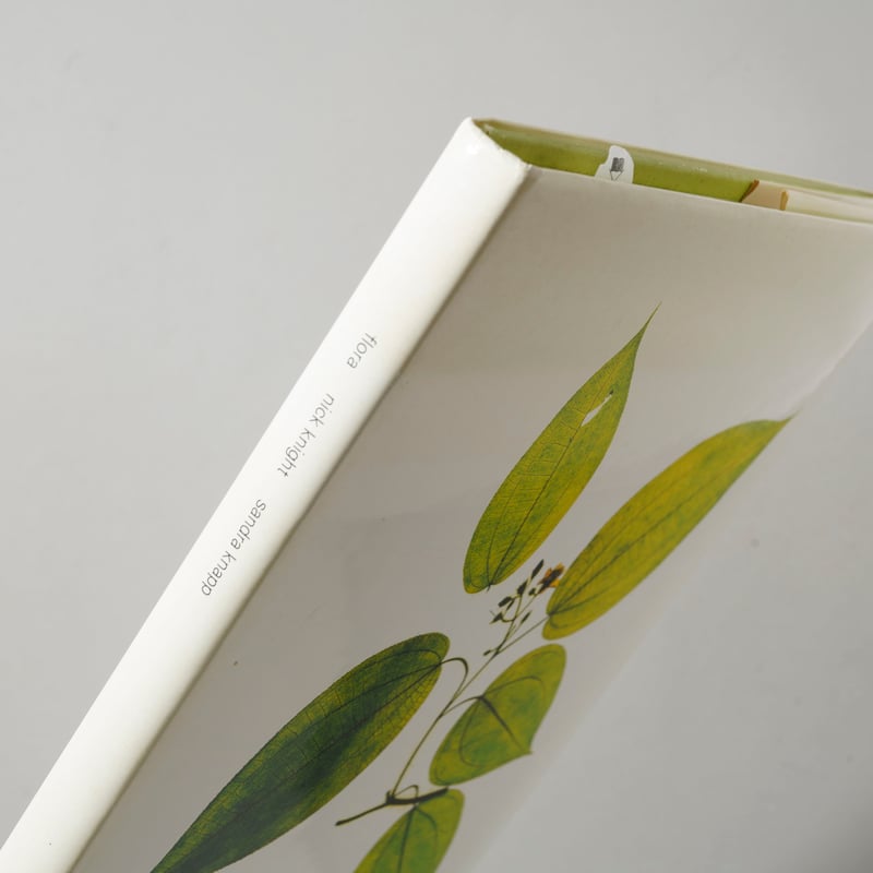 FLORA / Nick Night (ニック・ナイト) | bookobscura｜写真集専