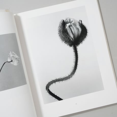 HANA / 石元泰博(Yasuhiro Ishimoto)