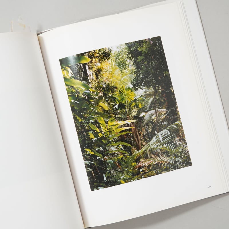 My Portrait 心象 / Thomas Struth(トーマス・シュトゥルート) |