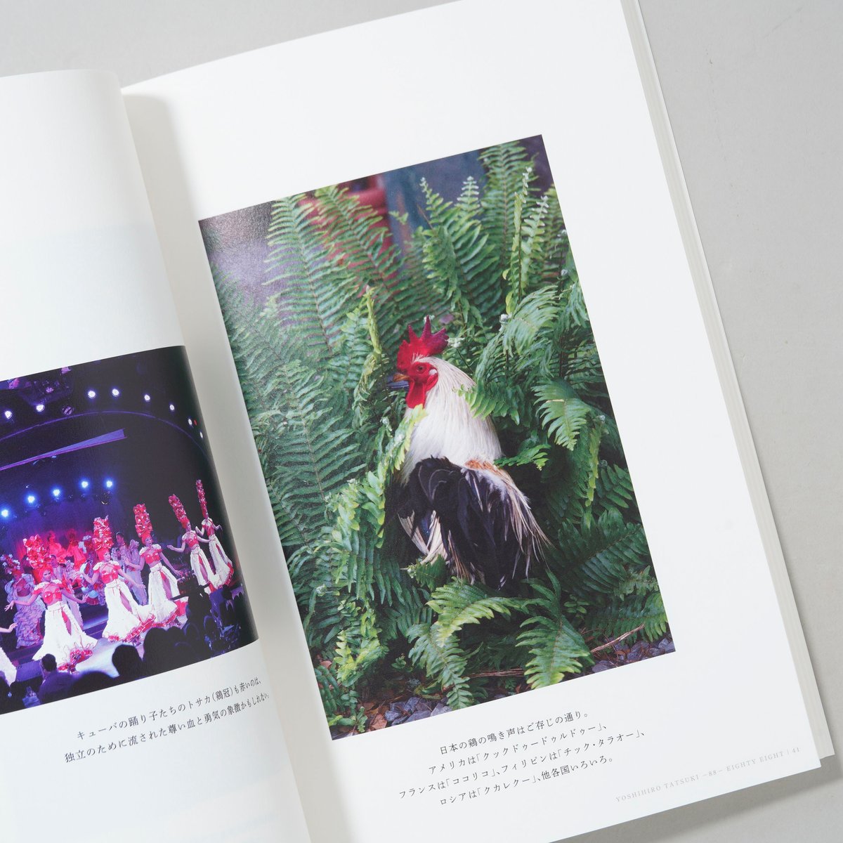 新刊/New] 88 YOSHIHIRO TATSUKI EIGHTY EIGHT －1－