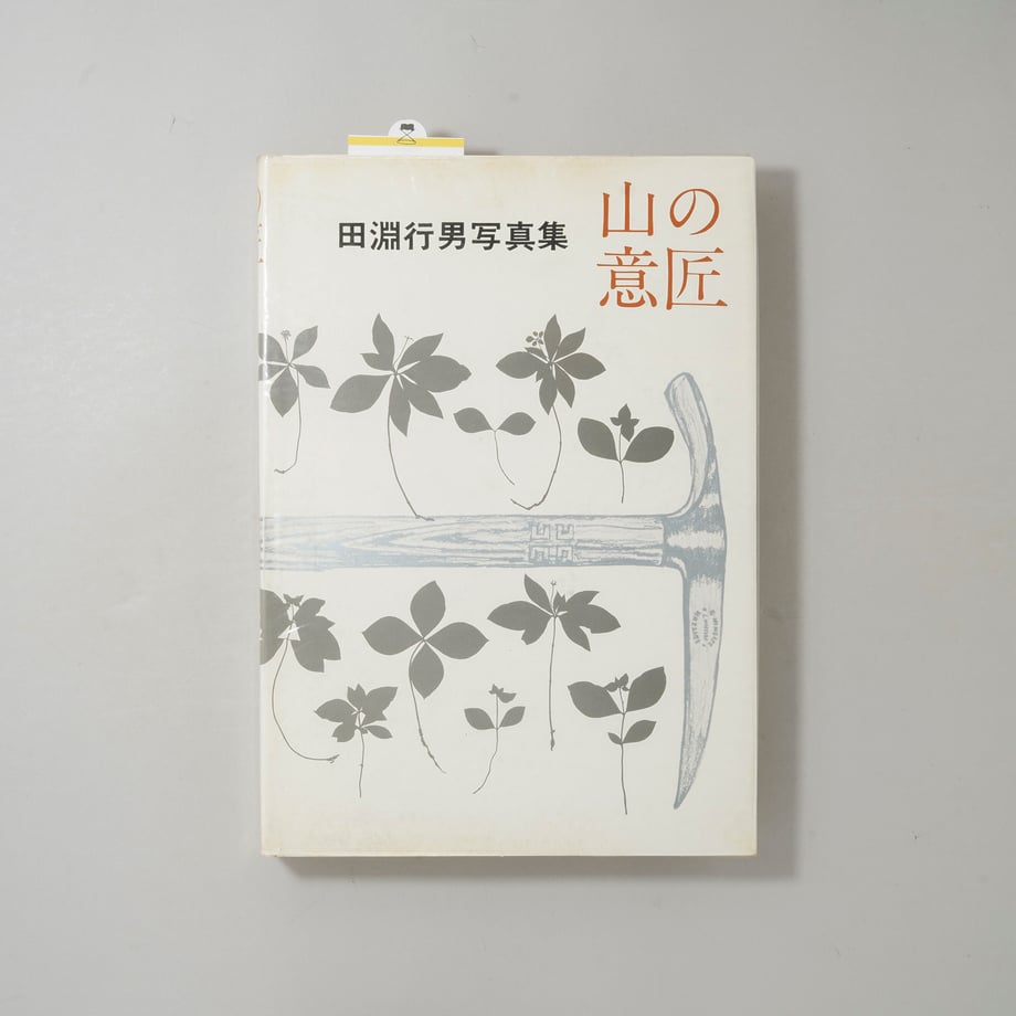 69eb3a691b359a0001dd10ab
