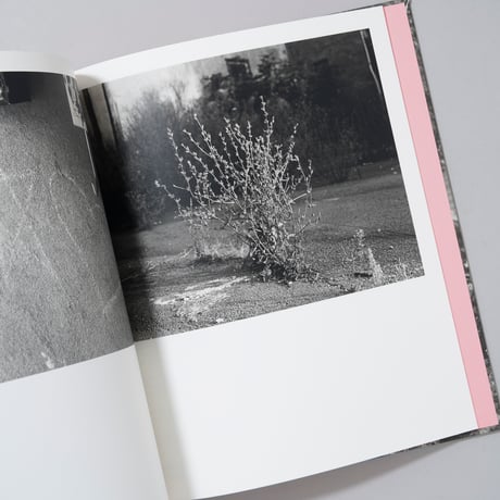 [新刊サイン入/New,Signed]LET ME SOW LOVE / Roger Richardson(ロジャー・リチャードソン)