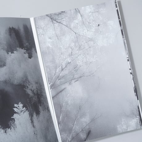[新刊サイン入/New,Signed] Beyond What You See / 渡部敏哉(Toshiya Watanabe)