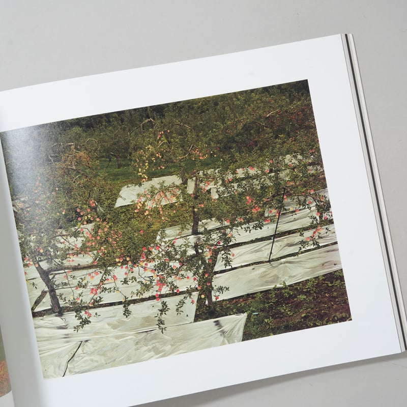 写真と絵画−セザンヌより 柴田敏雄と鈴木理策 / 柴田敏雄(Toshio