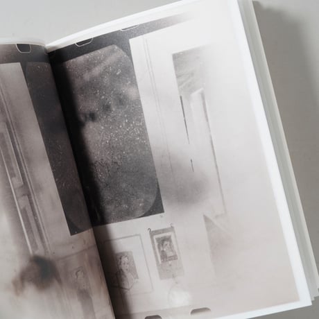 Les Infamies Photographiques De / Sigmer Polke(ジグマー・ポルケ)