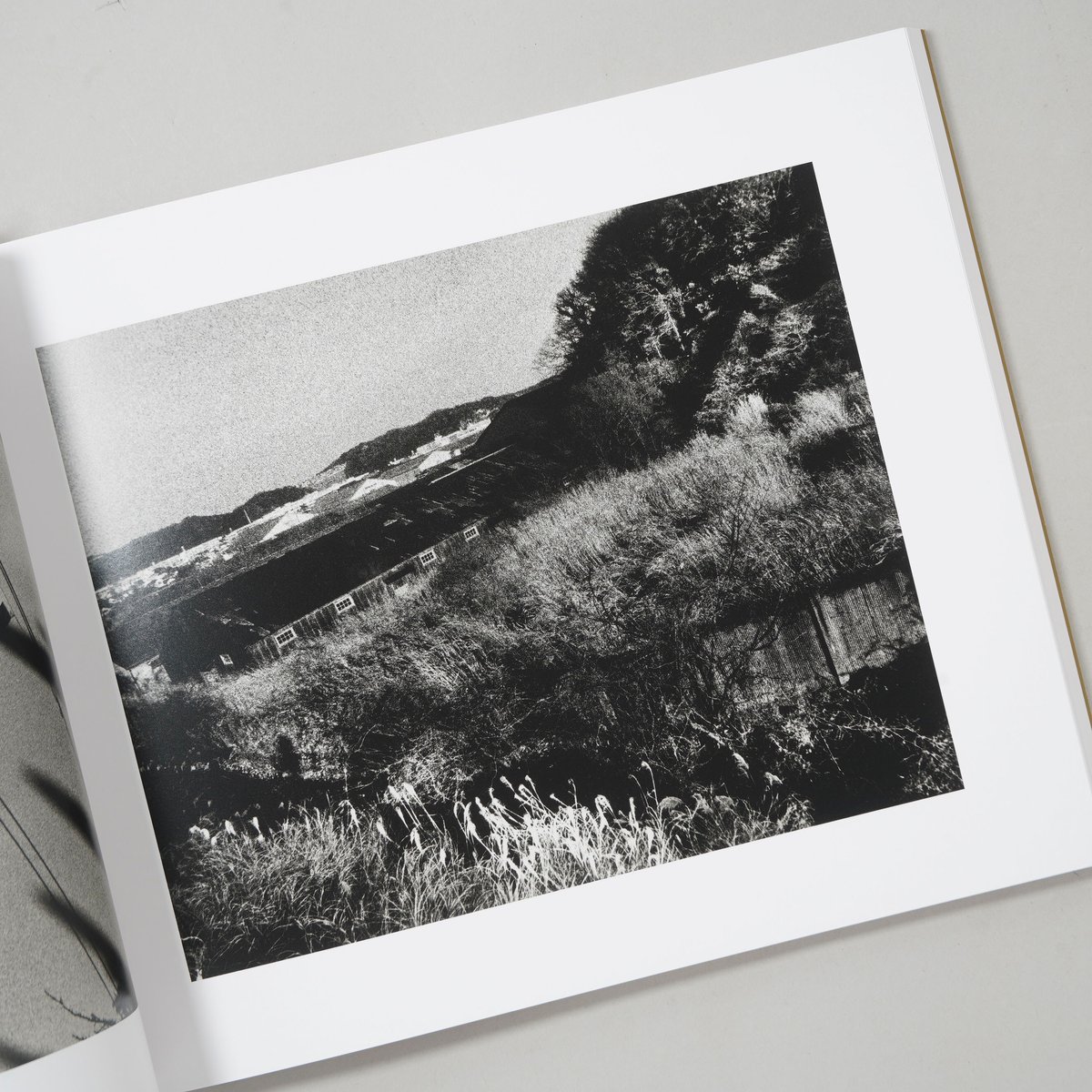 サイン入/Signed] SWEET HOME YOKOSUKA 1976-1980 / 石