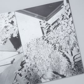 store】横田大輔 ｜ Daisuke Yokota | book obscura | ブ