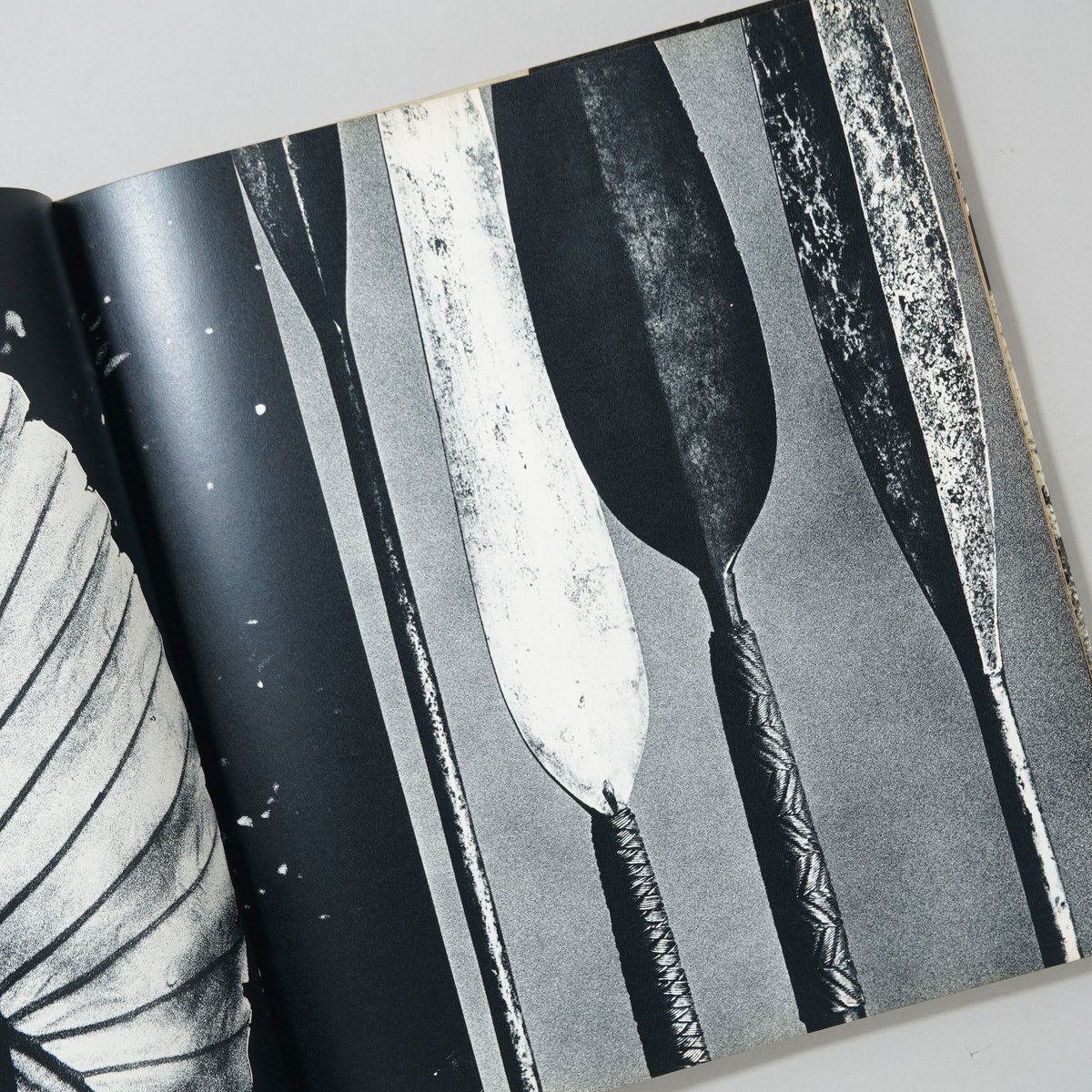 サイン本 Sam Haskins a Bologna サム・ハスキンス サイン本 Sam Haskins a Bologna サム・ハスキンス サイン本 Sam