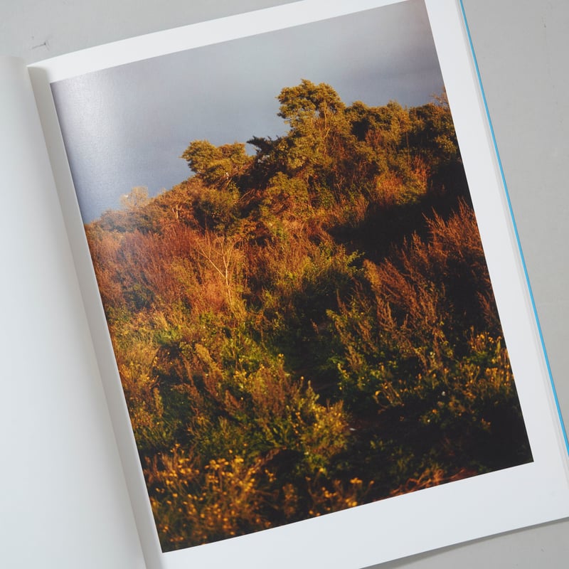 HOMES / HARLEY WEIR(ハーリー・ウィアー) | bookobscura｜写真