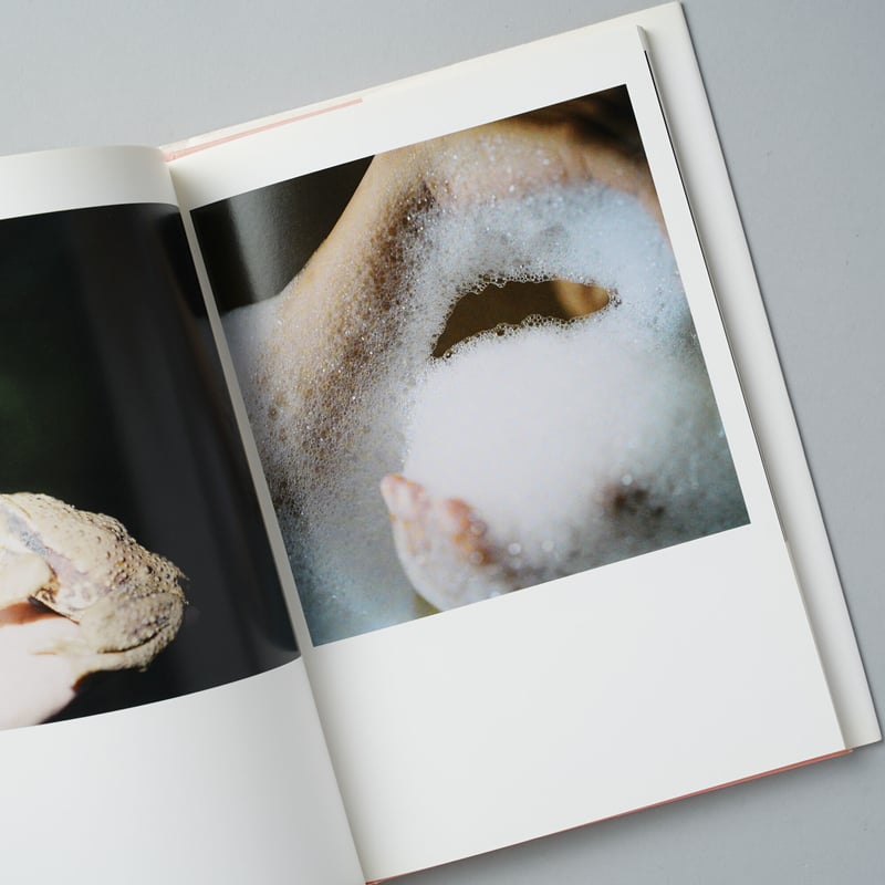 The eyes, the ears, / 川内倫子(Rinko Kawauchi) | bo...