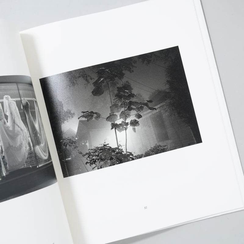 新刊/New]SOUTH EAST / Mark Steinmetz（マーク・シュタインメッ