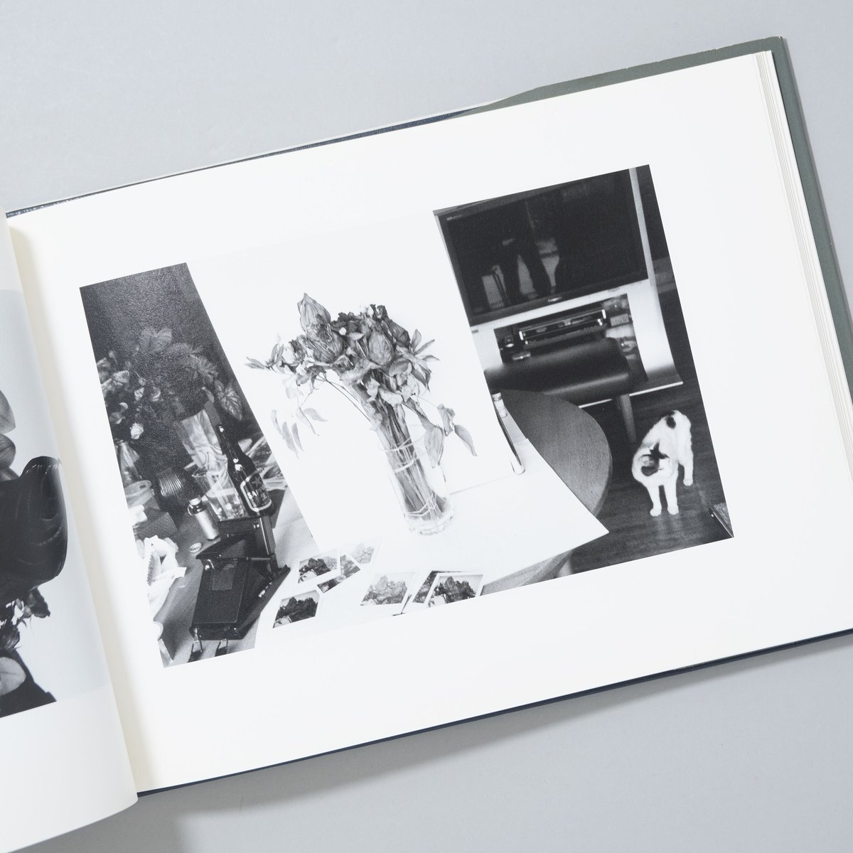 センチメンタルな旅、春の旅 / 荒木経惟(Nobuyoshi Araki) | book ob