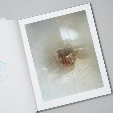 [サイン入/Signed] The Light / Mustang  光の王国 / 山西もも(Momo Yamanishi)
