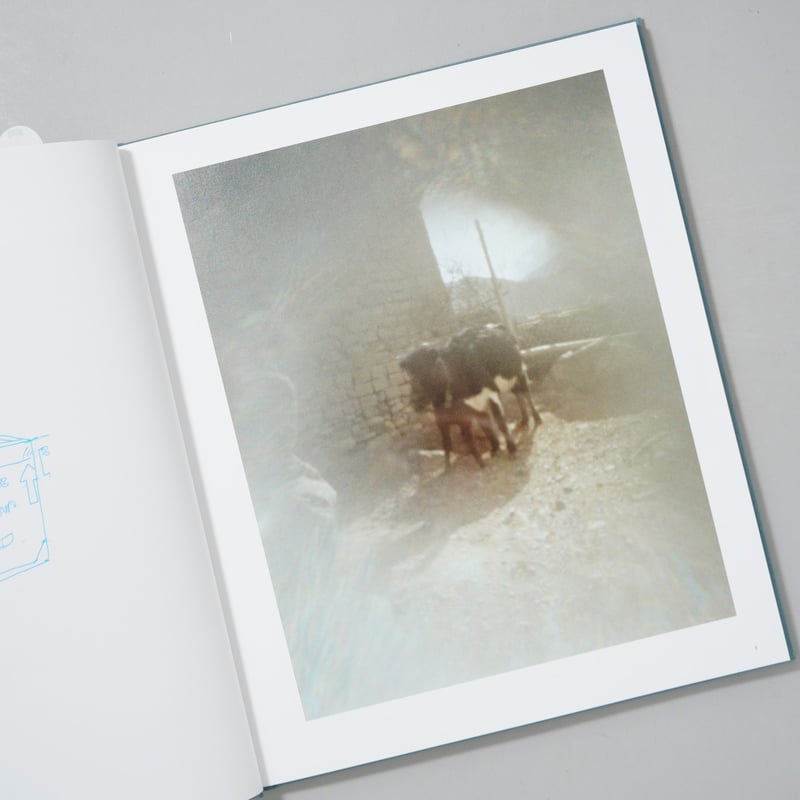 サイン入/Signed] The Light / Mustang 光の王国 / 山西もも(