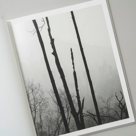 [新刊/New] The Weight Of Ash / Ian Bates(イアン・ベイツ)