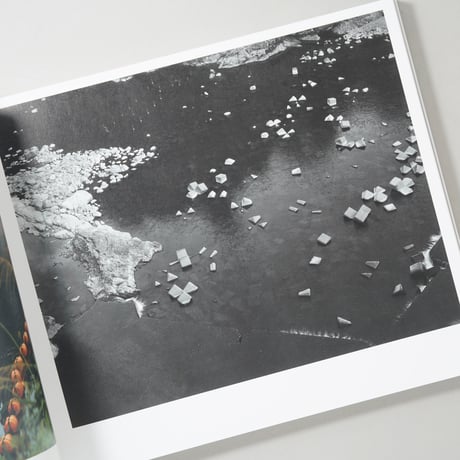 写真と絵画−セザンヌより 柴田敏雄と鈴木理策 / 柴田敏雄(Toshio Shibata)、鈴木理策(Risaku Suzuki)