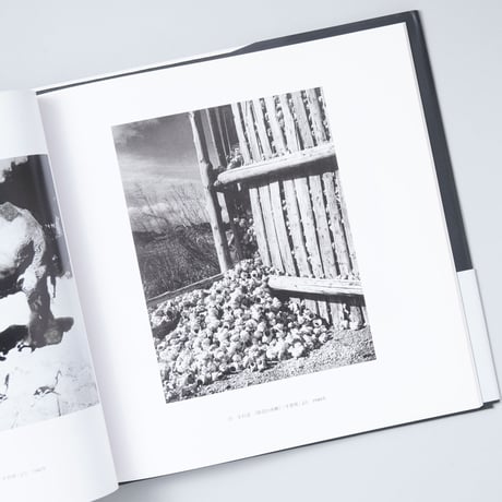 小石清と前衛写真(日本の写真家15) / 小石清(Kiyoshi Koishi)