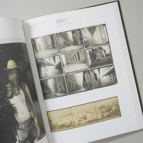 From Polaroid to Impossible : Masterpieces of Instant Photography - The WestLicht Collection