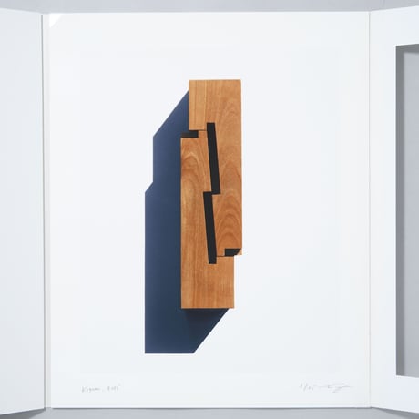[プリント付特装版/Special Edition]『BRANCH』『KIGUMI』『Patterns in Nature』 / 濱田祐史、Philippe Fragniere
