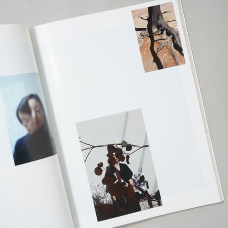 Umbra / Viviane Sassen(ヴィヴィアン・サッセン)