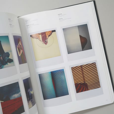 From Polaroid to Impossible : Masterpieces of Instant Photography - The WestLicht Collection