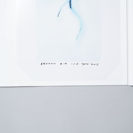 [プリント付特装版/Special Edition]『BRANCH』『KIGUMI』『Patterns in Nature』 / 濱田祐史、Philippe Fragniere