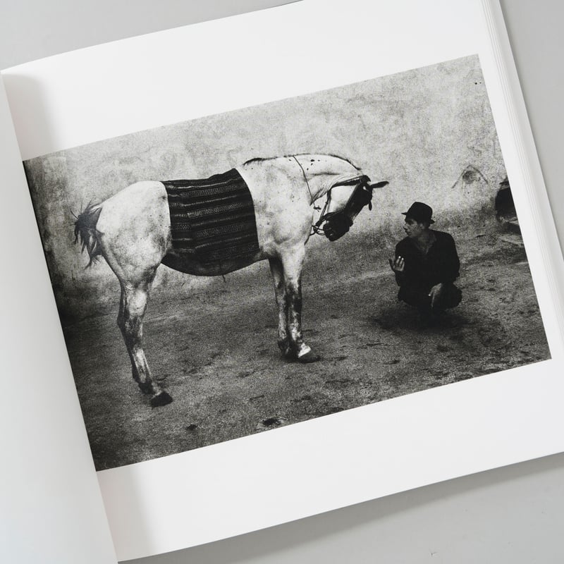 KOUDELKA / Josef Koudelka (ヨゼフ・クーデルカ) | bookobs KOUDELKA / Josef Koudelka (ヨゼフ・クーデルカ) | bookobs