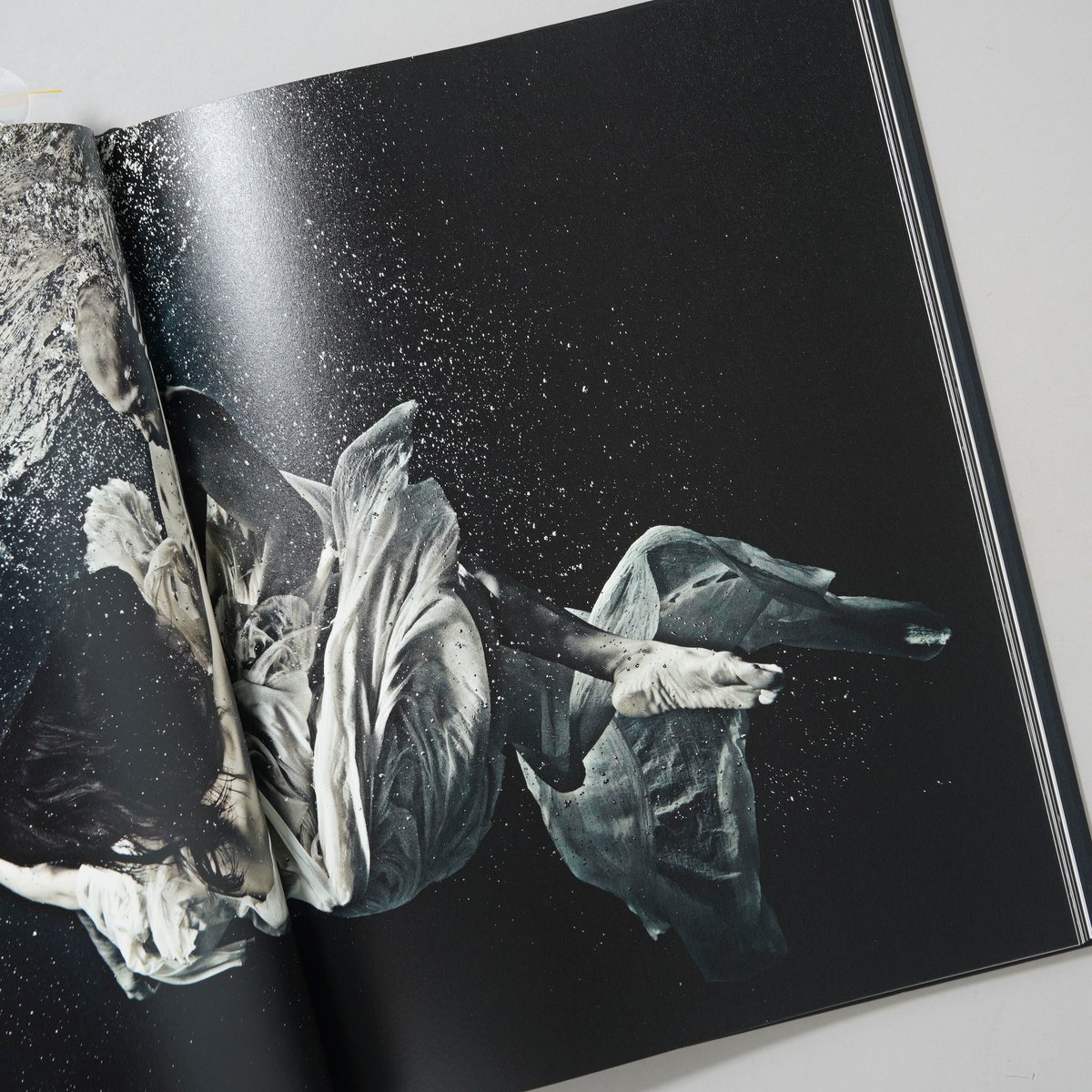 池谷友秀TOMOHIDE IKEYA写真集「BREATH」 池谷 友秀 展 「 BREATH – 水中写真の世界 – 」 | GALLERY KOGURE