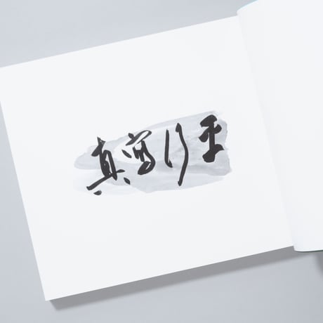 [新刊/New]平行写真 / 富澤大輔(Daisuke Tomizawa)