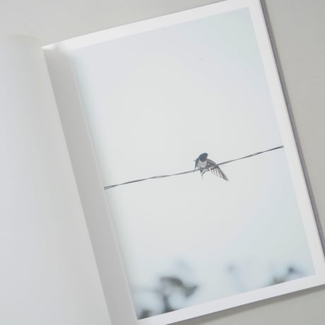 [サイン入/Signed] Des oiseaux (On birds) / 川内倫子(Rinko Kawauchi)
