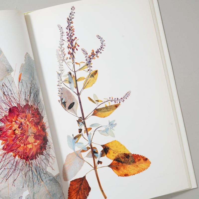 bookobscura｜写真集専門書店｜写真家による写真集の買取｜古本古書