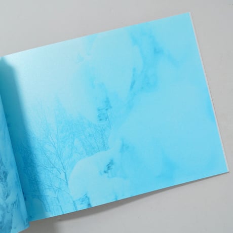 雪に浮かぶ / 広川智基(Tomoki Hirokawa)