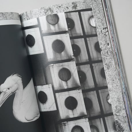 Assembled 手の記憶 / 西野壮平(Sohei Nishino)