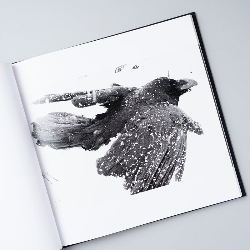 鴉 （RAVENS）/ 深瀬昌久（Masahisa Fukase） | book obscur...