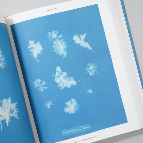 CYANOTYPES / ANNA ATKINS(アナ・アトキンス)