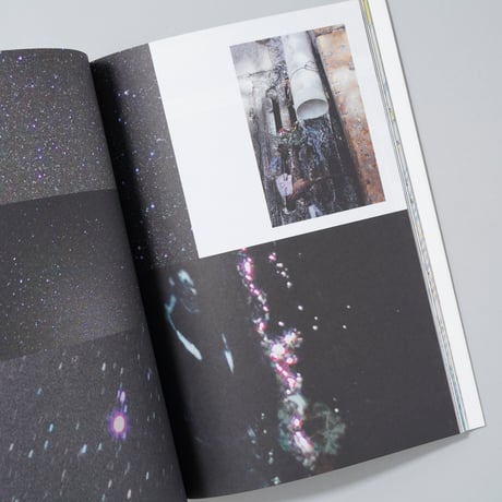 What Is Different?: Jahresring 64 / Wolfgang Tillmans(ウォルフガング・ティルマンス)