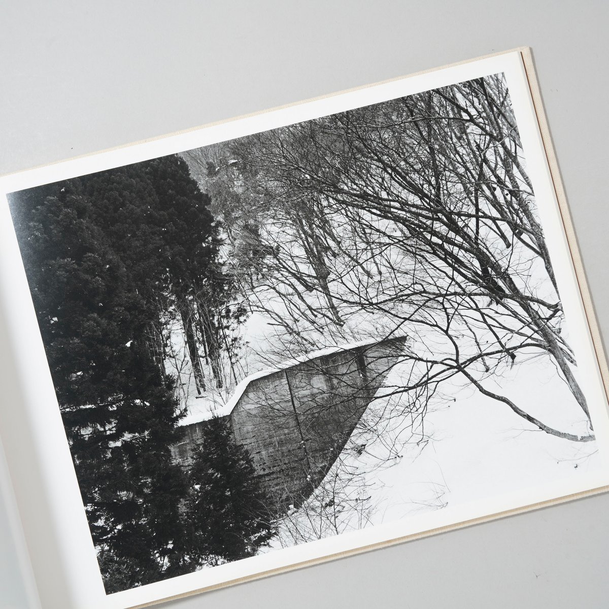 村越としや　「大きな石とオオカミ　特装版」 新刊サイン入/New,Signed] 大きな石とオオカミ / 村越としや