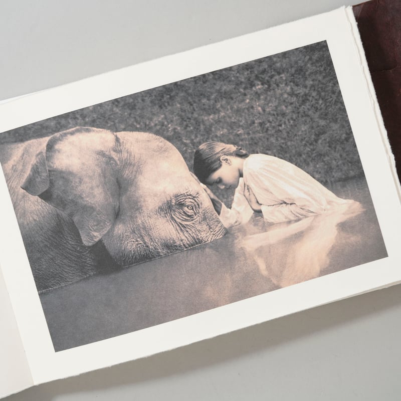 洋服通販 - 新作アイテムを Ashes And Snow: New York Exhibition Catalog 200 アート写真